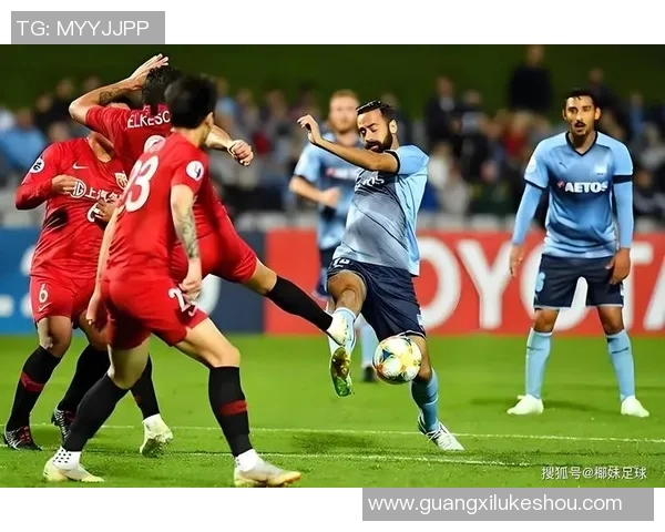 惠灵顿与纽喷射机的精彩对决分析与赛季展望