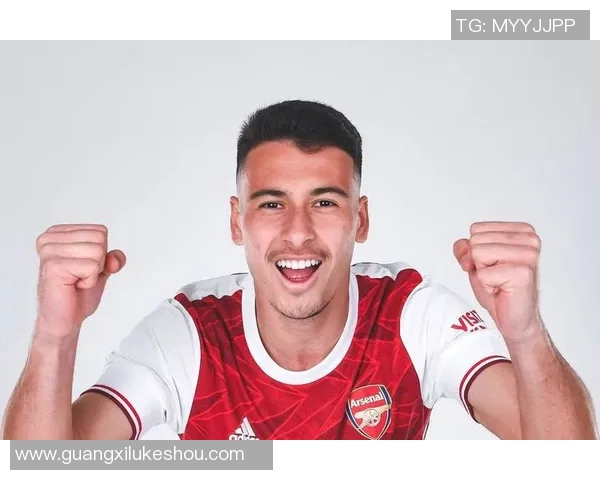 马丁内利：从青涩小将到足坛新星的成长之路与未来展望