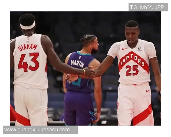 黄蜂队对阵猛龙队的比赛推荐与分析全方位解读