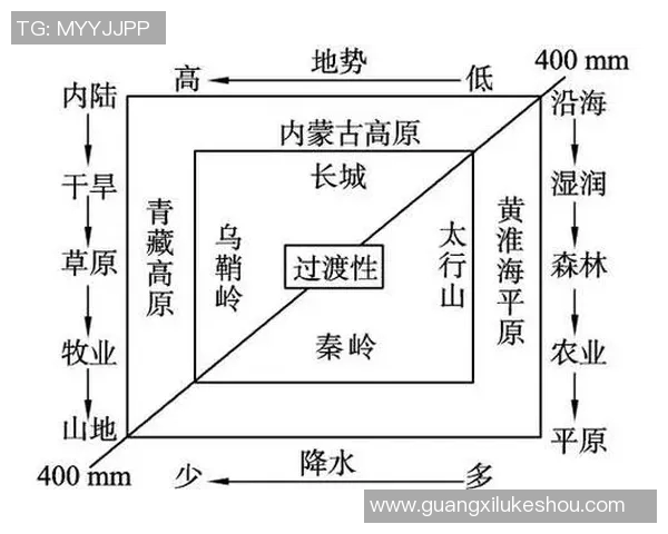 鸟栖砂岩与清水鼓动的对比分析与生态影响探讨